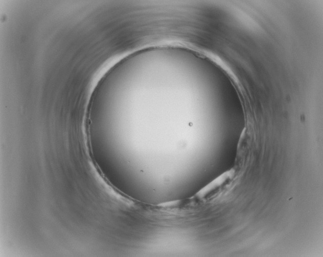 X0000070880959200607071944