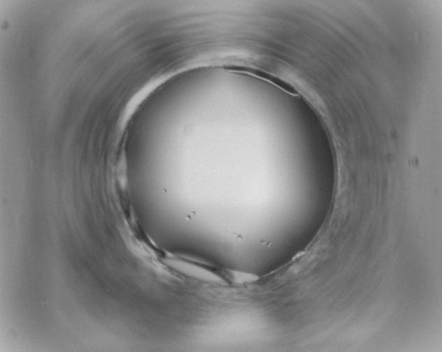 X0000070880960200607071944