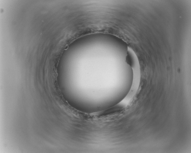 X0000070880961200607071944