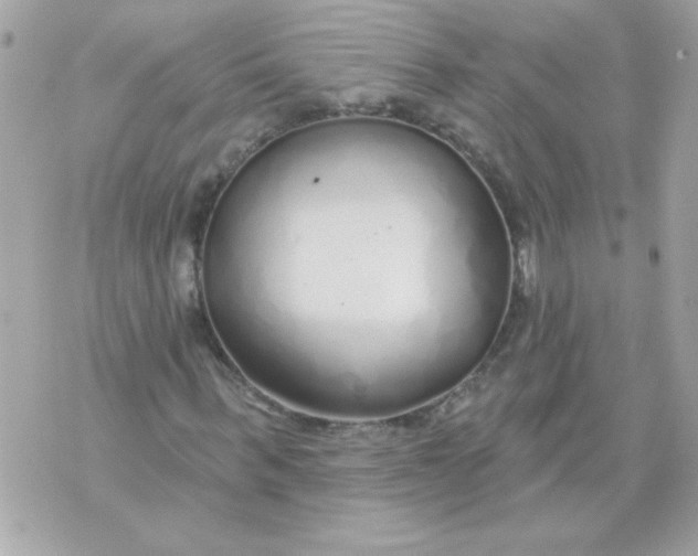 X0000070880963200607071944