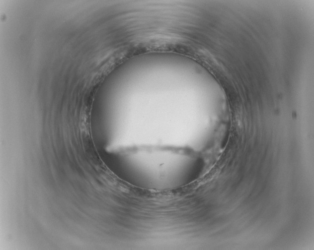 X0000070880964200607071944