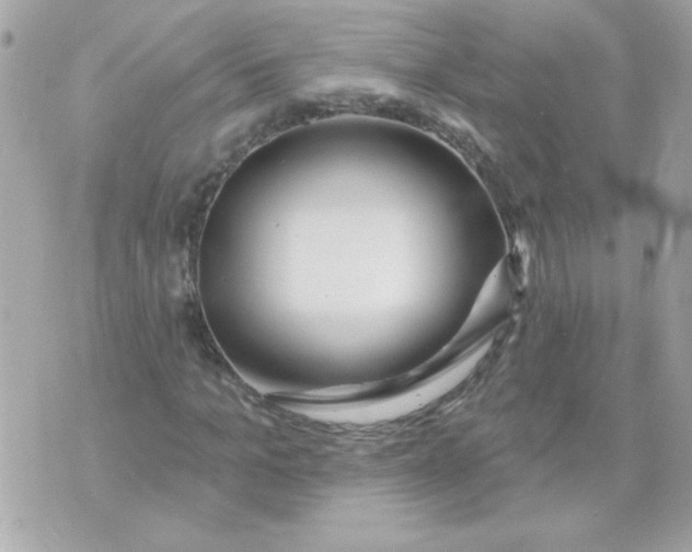 X0000070880965200607071944