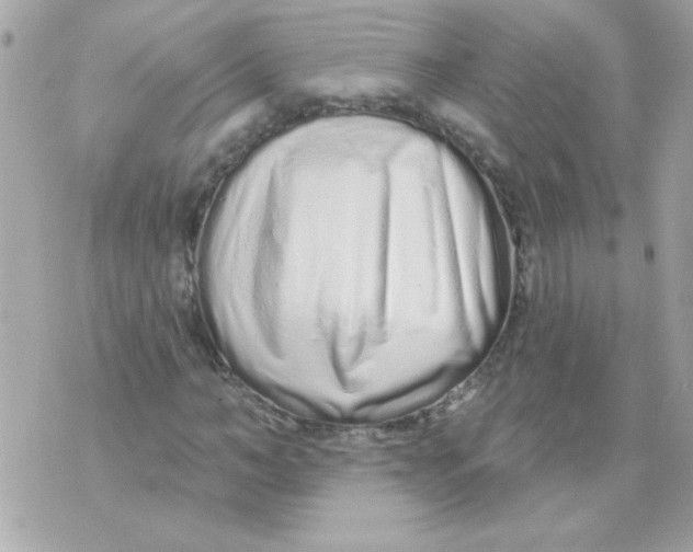 X0000070880966200607071944