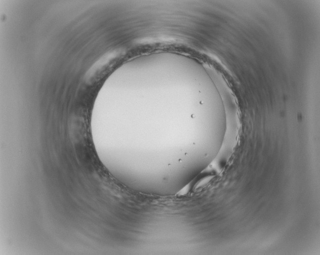 X0000070880967200607071944