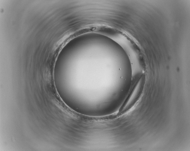 X0000070880969200607071944