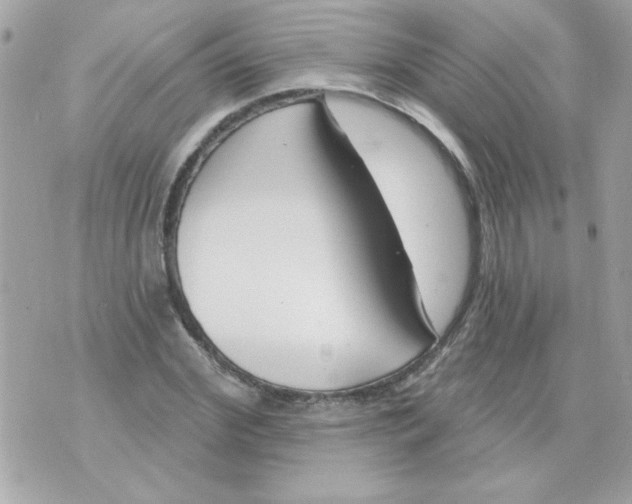 X0000070880972200607071943