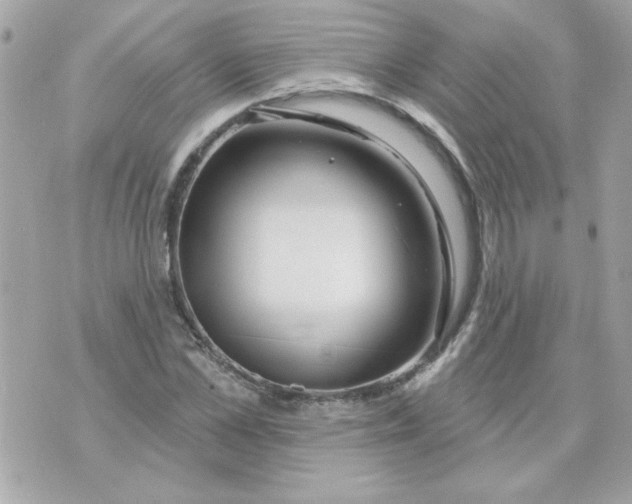 X0000070880973200607071943