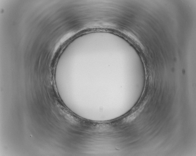 X0000070880974200607071943