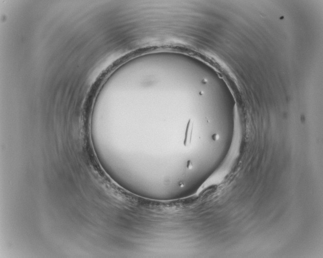 X0000070880975200607071943