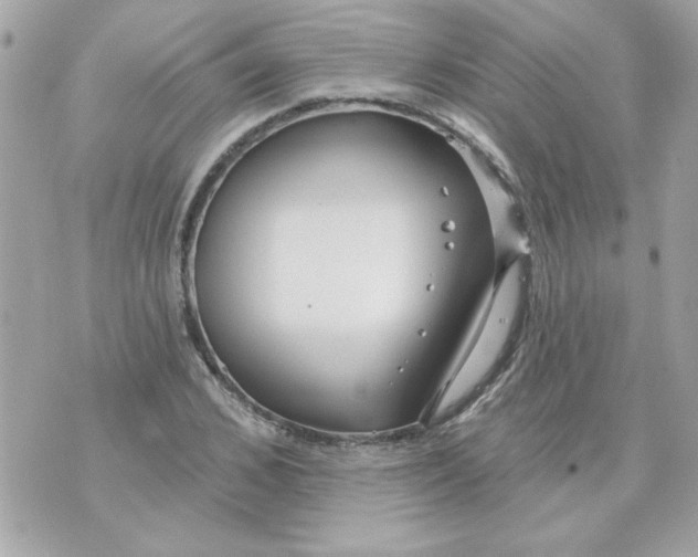 X0000070880976200607071943