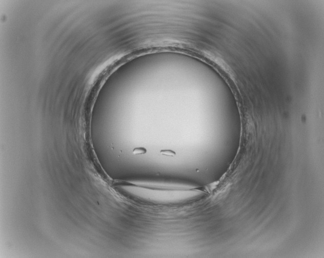 X0000070880979200607071943