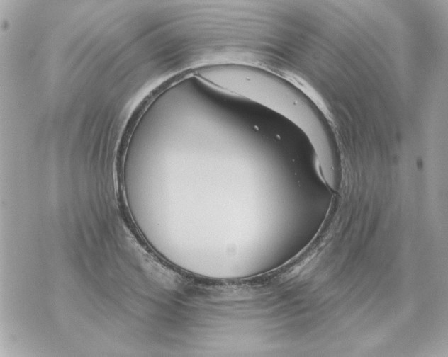 X0000070880980200607071943