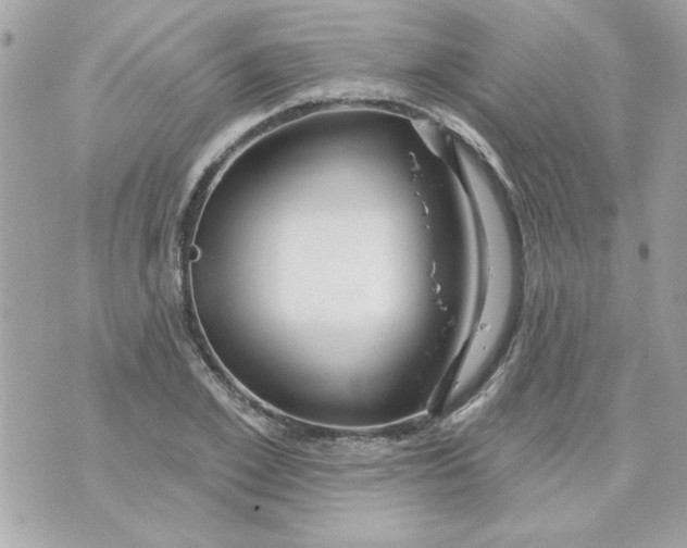 X0000070880981200607071943