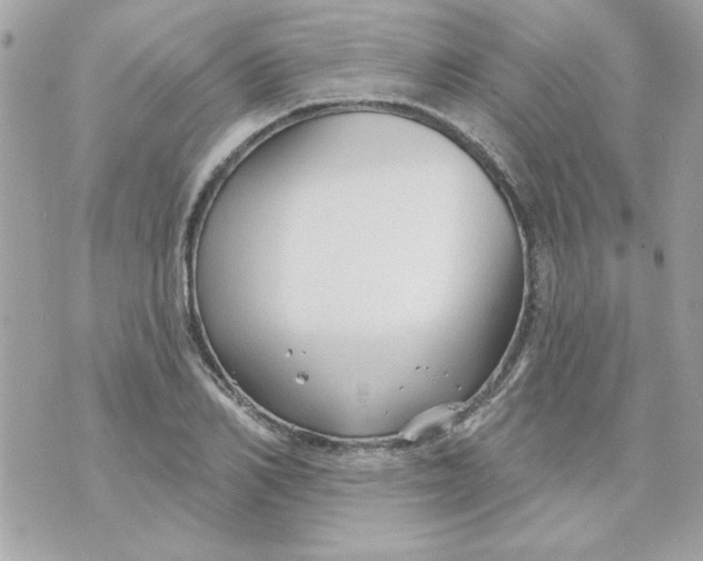 X0000070880982200607071943