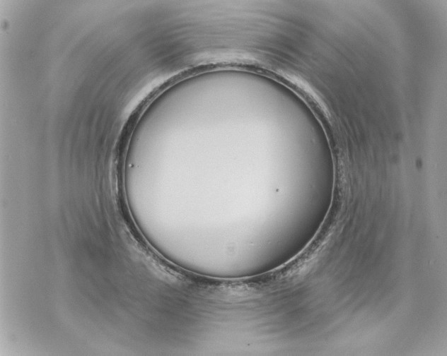 X0000070880983200607071943