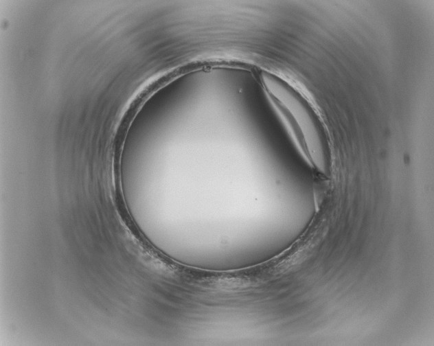 X0000070880984200607071943