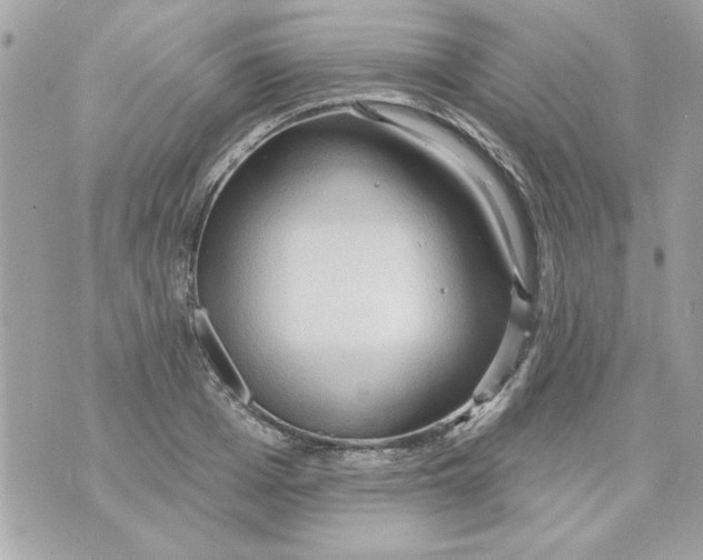 X0000070880985200607071943