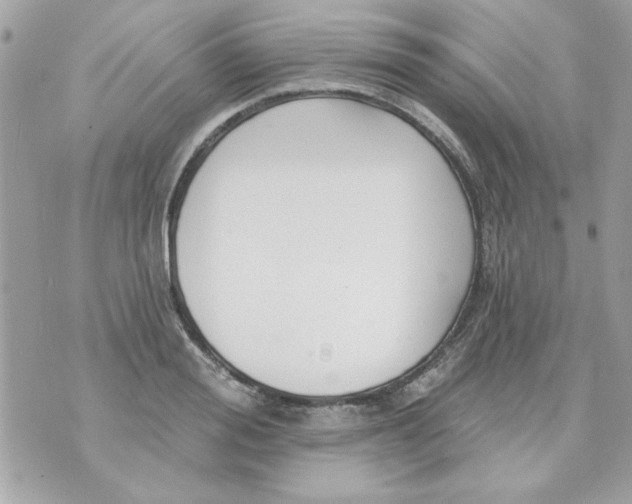 X0000070880988200607071943