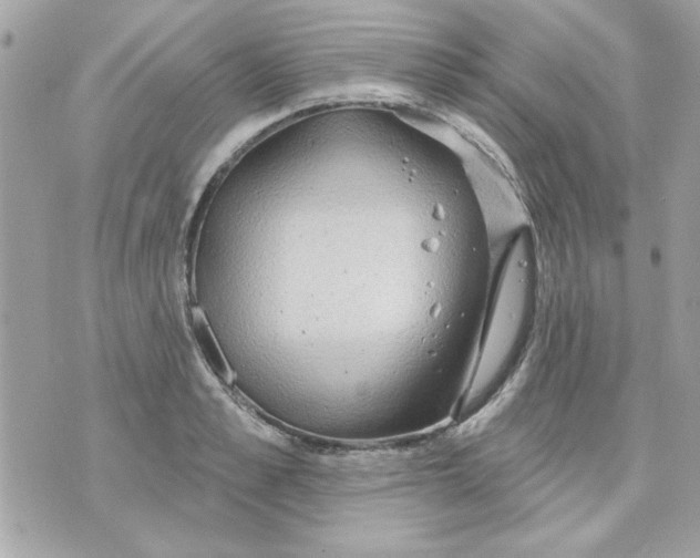 X0000070880989200607071943