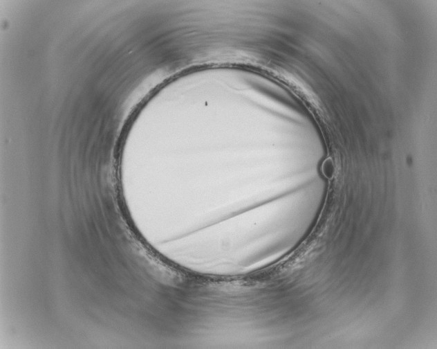 X0000070880990200607071943