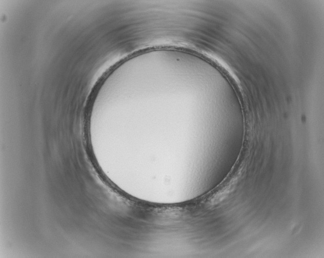 X0000070880991200607071943