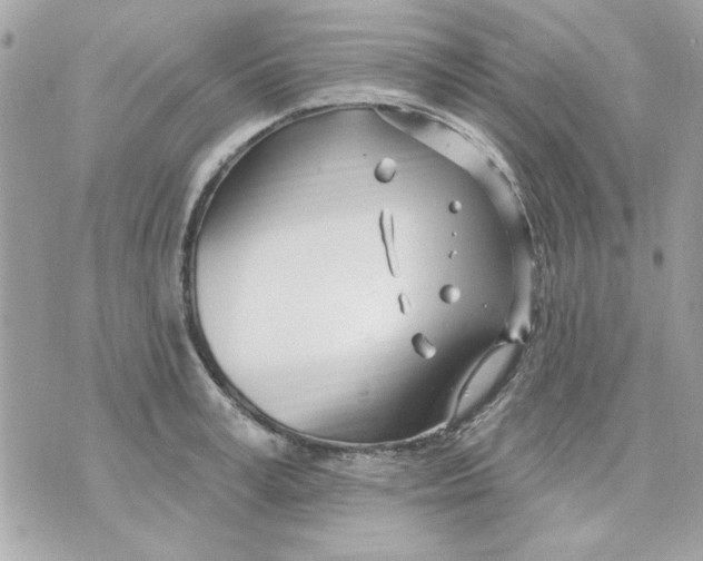 X0000070880995200607071943