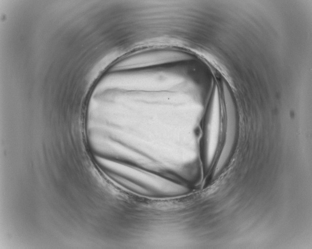 X0000070880998200607071943