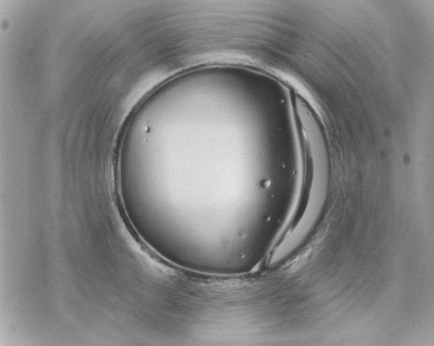 X0000070880999200607071943