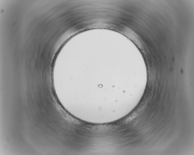 X0000070881000200607071943