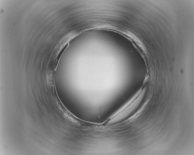 X0000070881001200607071943