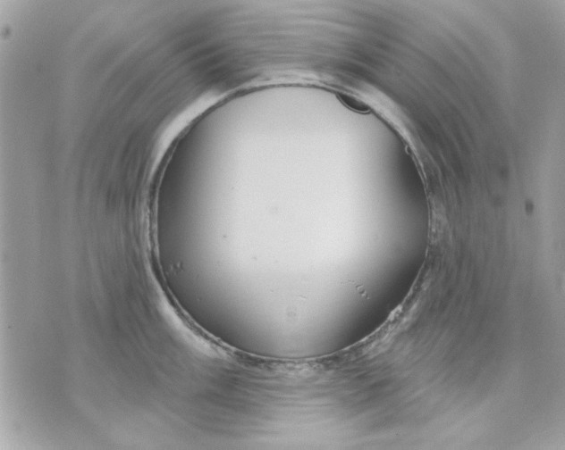 X0000070881003200607071943