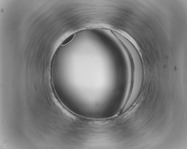 X0000070881005200607071943