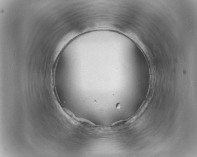 X0000070881006200607071943