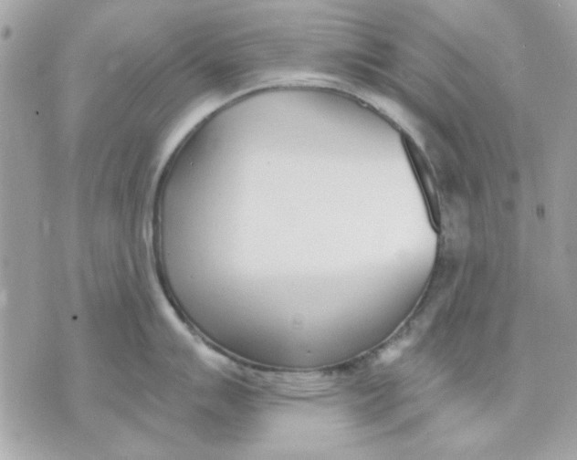 X0000070881007200607071943