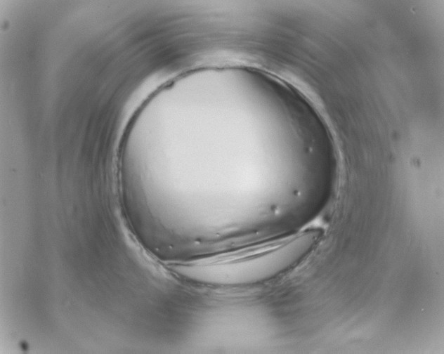 X0000070881008200607071943