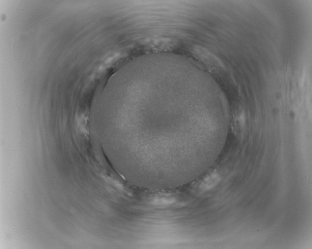 X0000070881010200607071942