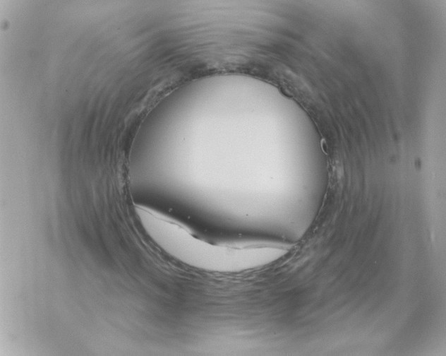 X0000070881012200607071942