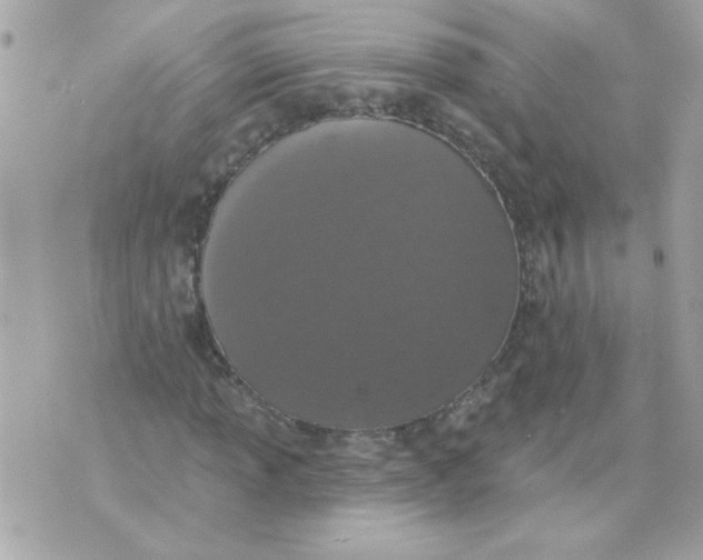 X0000070881013200607071942