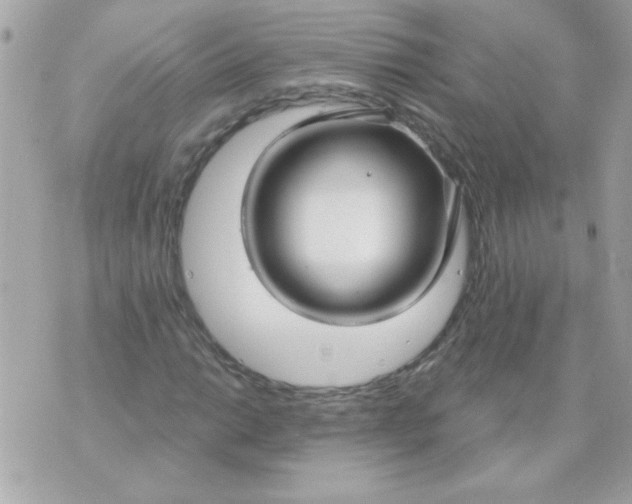 X0000070881014200607071942