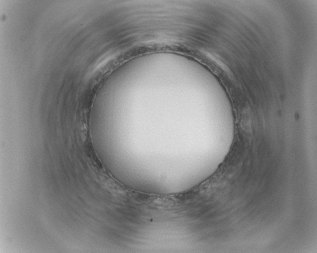 X0000070881015200607071942