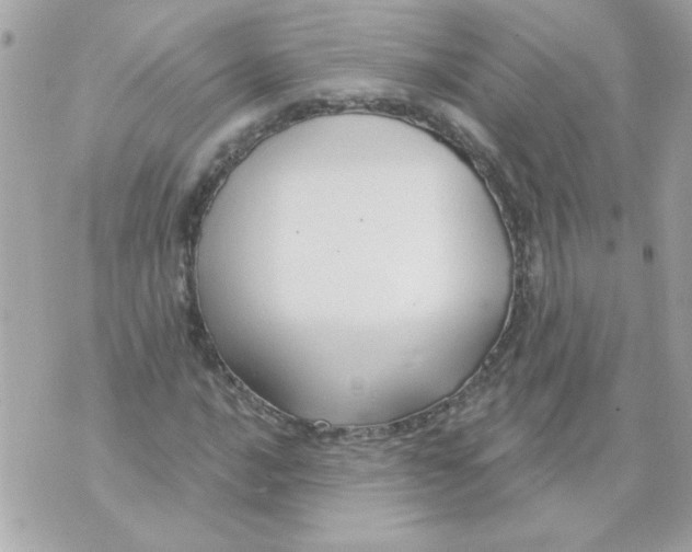 X0000070881016200607071942