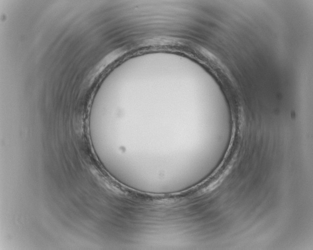 X0000070881017200607071942