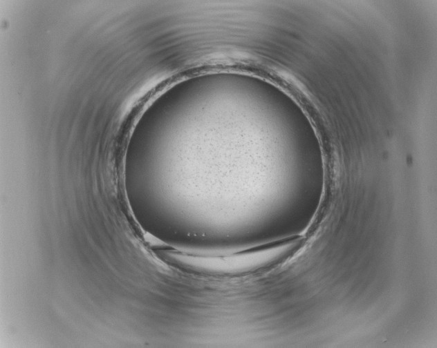 X0000070881018200607071942