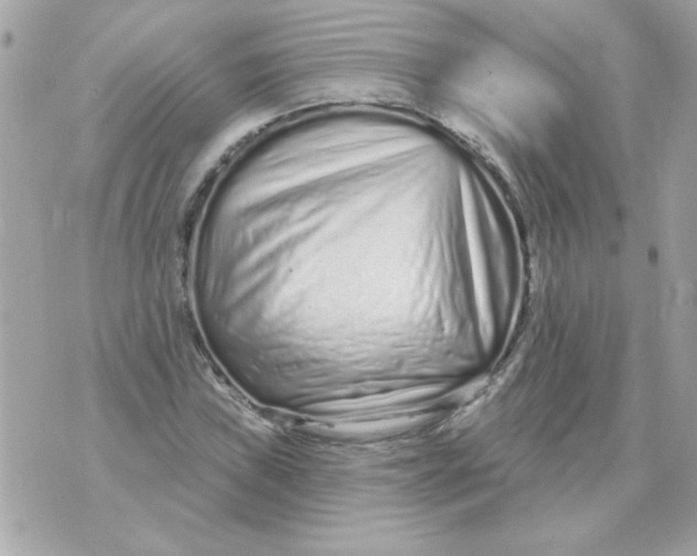 X0000070881019200607071942