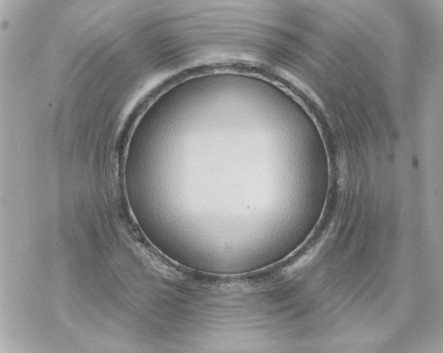 X0000070881021200607071942