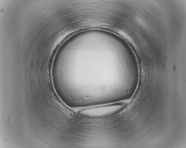 X0000070881023200607071942