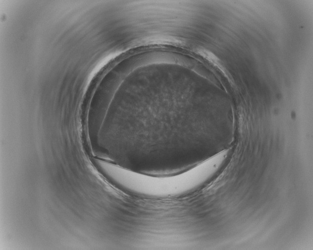 X0000070881024200607071942