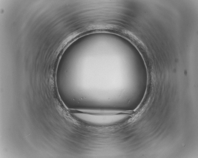 X0000070881025200607071942