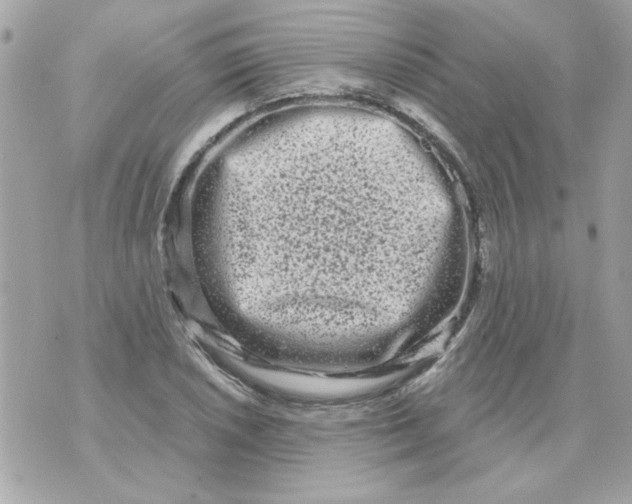 X0000070881026200607071942