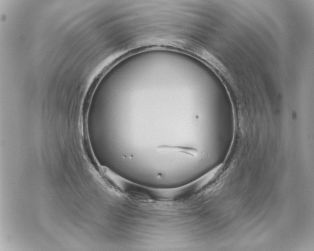 X0000070881028200607071942